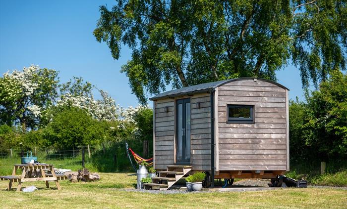 Hut in nature